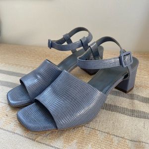 Everlane block heel sandals in blue lizard 🌊 8.5